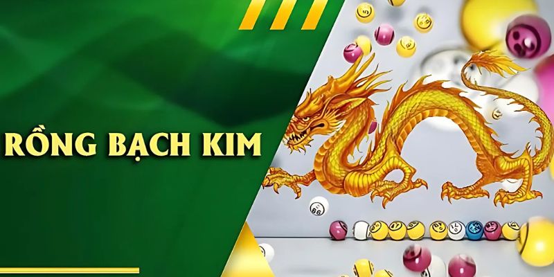rồng bạch kim là gì?